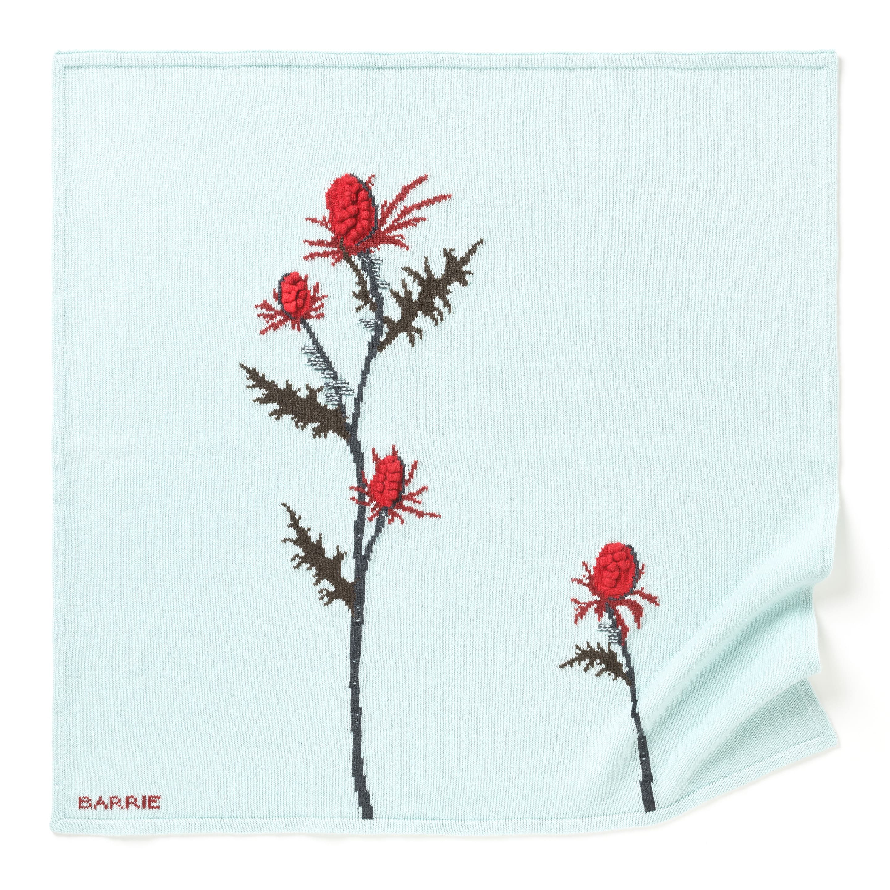 Foulard en cachemire à motif chardon en relief